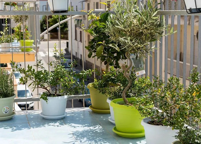 Panzió S'unda Jara Alghero